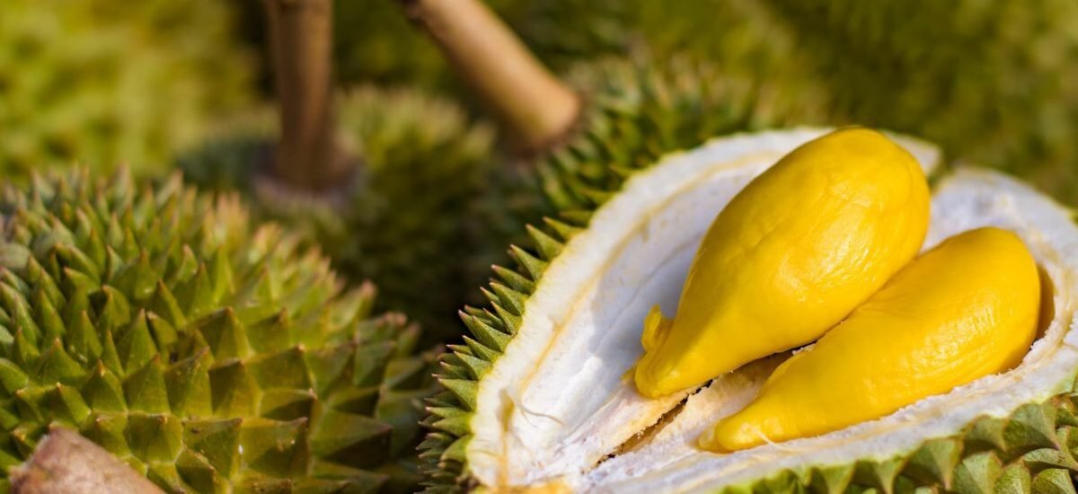 IStock 908646848 1200x900