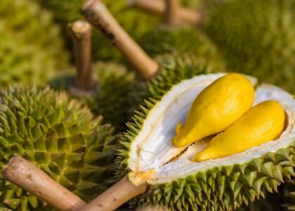 IStock 908646848 1200x900