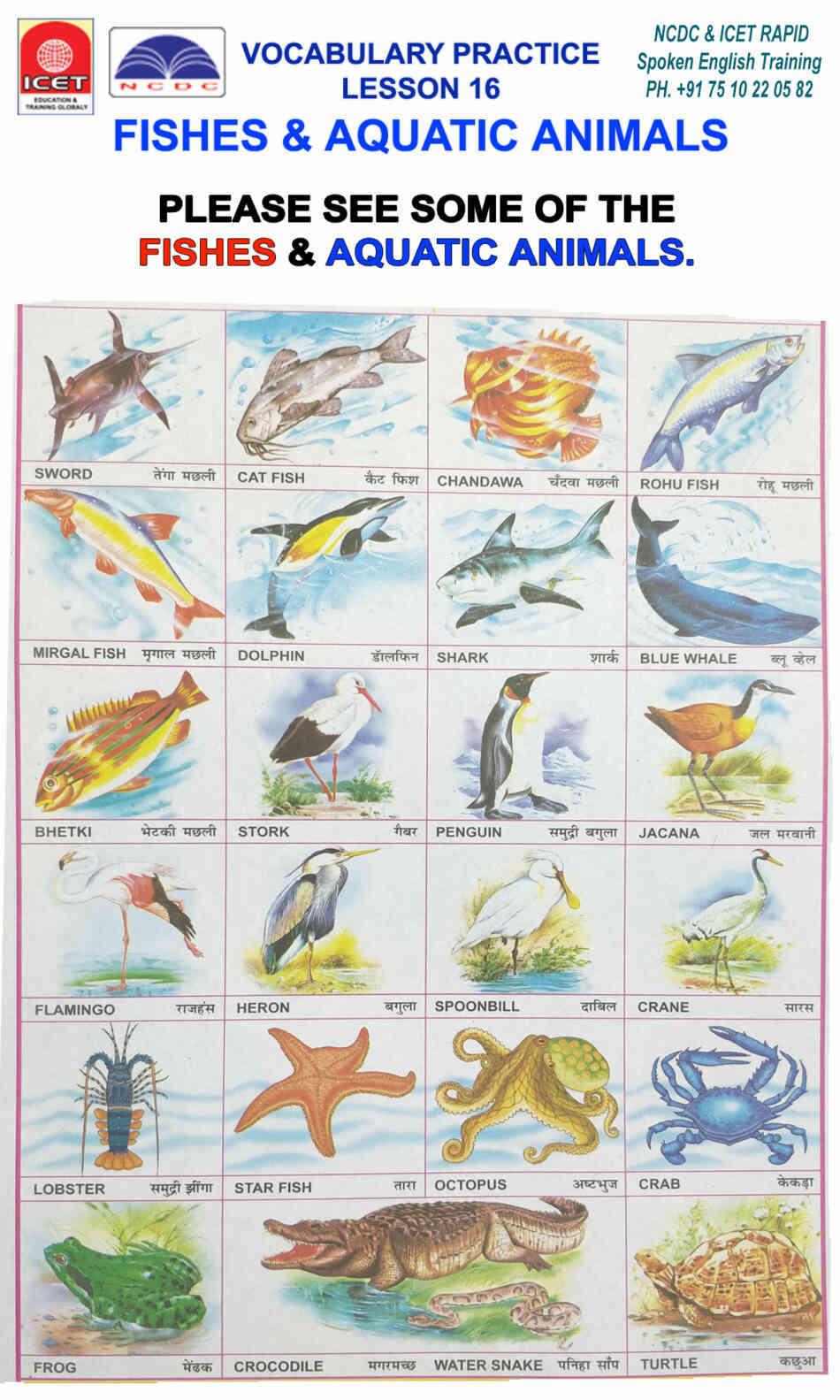 SPOKEN ENGLISH VOCABULARY CHART LESSON 16: FISHES & AQUATIC ANIMALS -  National Child Development Council - New Delhi