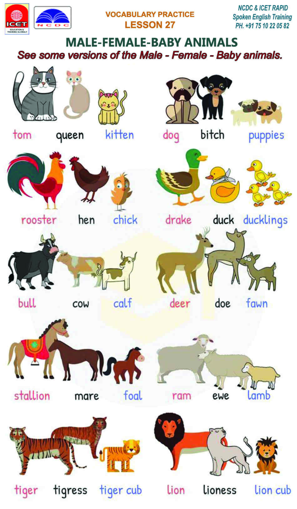 SPOKEN ENGLISH VOCABULARY CHART LESSON 27: MALE- FEMALE- BABY ANIMALS ...