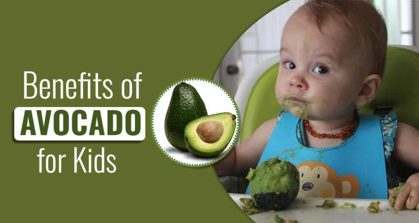 the benefits of avocados for babies