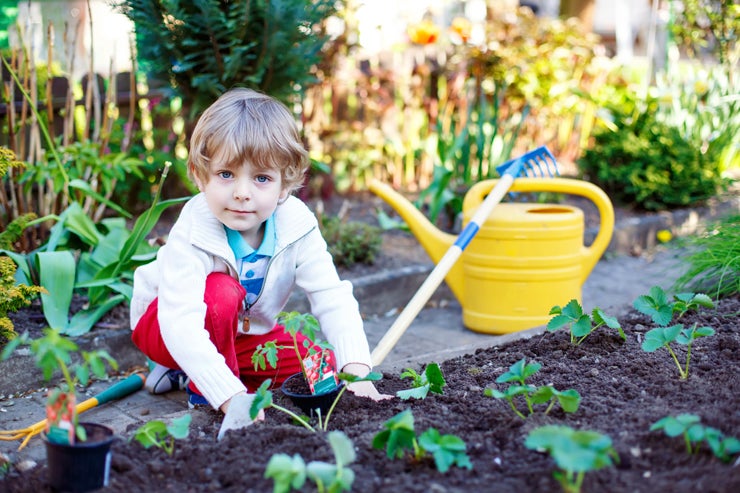 child gardening 2016