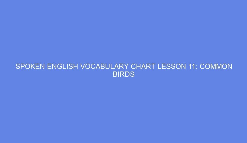 SPOKEN ENGLISH VOCABULARY CHART LESSON 11: COMMON BIRDS