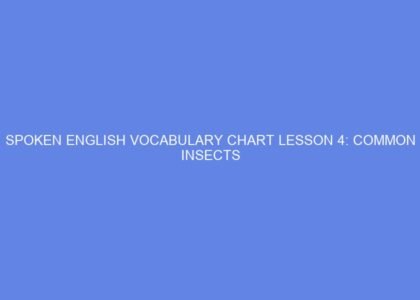 SPOKEN ENGLISH VOCABULARY CHART LESSON 4: COMMON INSECTS