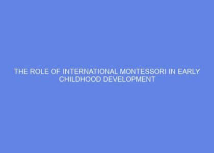 The Role of International Montessori in Early Childhood Development