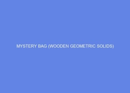 Mystery bag (wooden geometric solids)