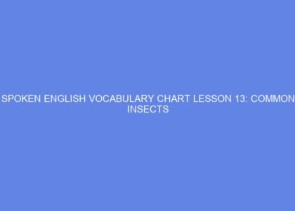 Spoken english vocabulary chart lesson 13: common insects