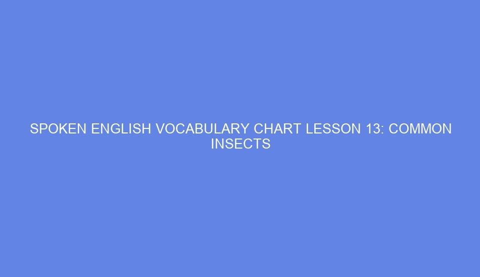Spoken english vocabulary chart lesson 13: common insects