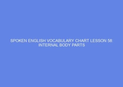 Spoken english vocabulary chart lesson 58: internal body parts