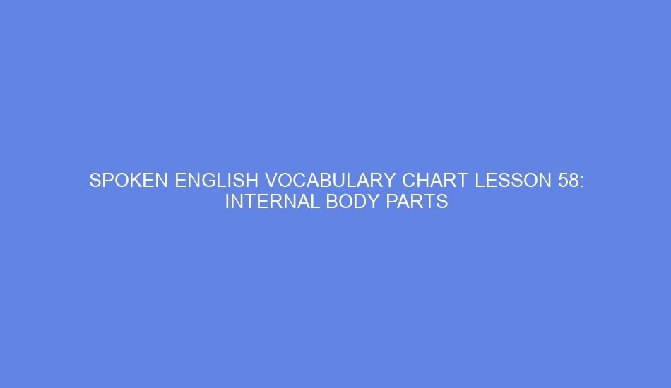 Spoken english vocabulary chart lesson 58: internal body parts