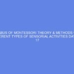 SYLLABUS OF MONTESSORI THEORY & METHODS UNIT 6 DIFFERENT TYPES OF SENSORIAL ACTIVITIES DAY 15 – 17