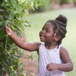 Upholding Quality: The Role of International Accreditation in Montessori Teacher Training