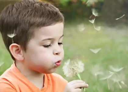 Fe img0144 post 1 attachment