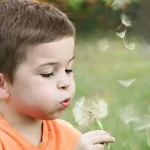 Why Is Montessori Peace Education Essential For International Teachers In 2025?