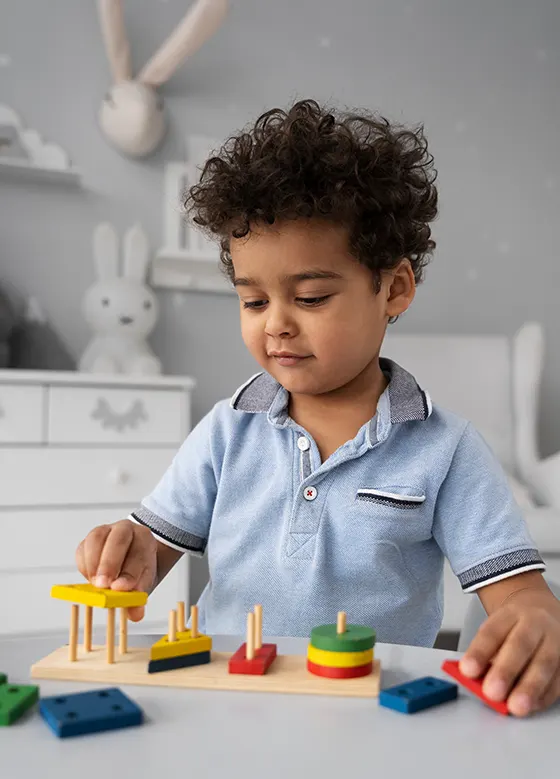 Montessori Teacher Training Online