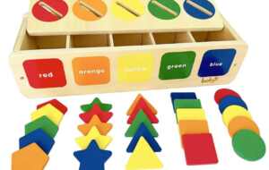 amazon.com: dailyfunn montessori toys color&shape sorting learning ...