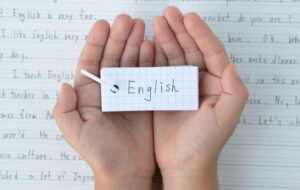 The Write Stuff: English Literacy Skills for Elementary Students ...